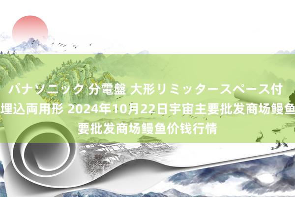 パナソニック 分電盤 大形リミッタースペース付 露出・半埋込両用形 2024年10月22日宇宙主要批发商场鳗鱼价钱行情