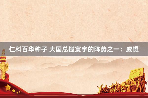 仁科百华种子 大国总揽寰宇的阵势之一：威慑