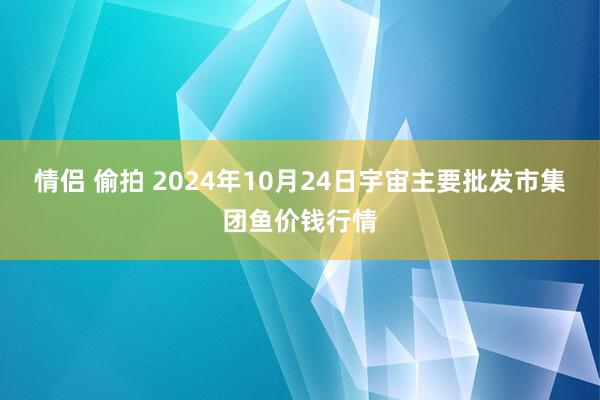 情侣 偷拍 2024年10月24日宇宙主要批发市集团鱼价钱行情