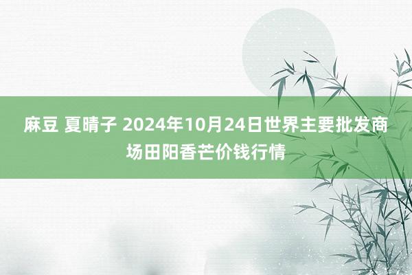 麻豆 夏晴子 2024年10月24日世界主要批发商场田阳香芒价钱行情