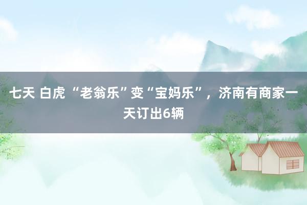 七天 白虎 “老翁乐”变“宝妈乐”，济南有商家一天订出6辆