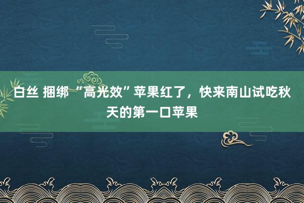 白丝 捆绑 “高光效”苹果红了，快来南山试吃秋天的第一口苹果