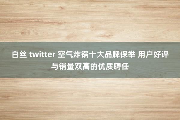 白丝 twitter 空气炸锅十大品牌保举 用户好评与销量双高的优质聘任
