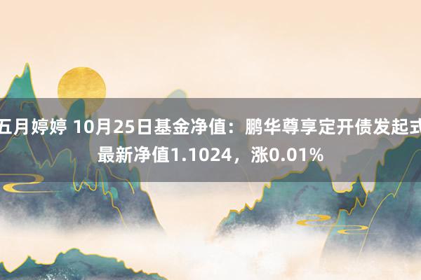 五月婷婷 10月25日基金净值：鹏华尊享定开债发起式最新净值1.1024，涨0.01%