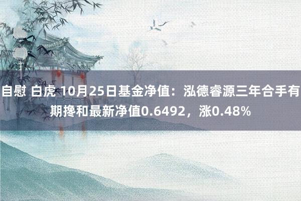自慰 白虎 10月25日基金净值：泓德睿源三年合手有期搀和最新净值0.6492，涨0.48%