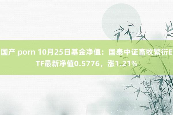 国产 porn 10月25日基金净值：国泰中证畜牧繁衍ETF最新净值0.5776，涨1.21%