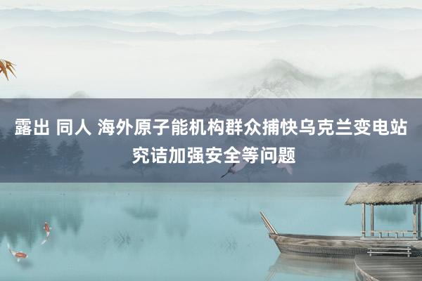 露出 同人 海外原子能机构群众捕快乌克兰变电站 究诘加强安全等问题