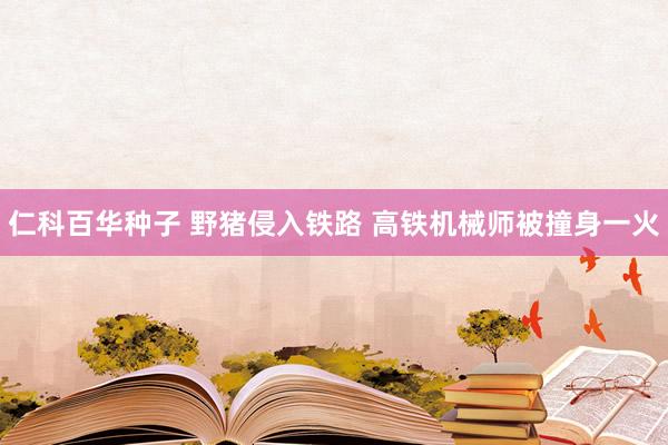 仁科百华种子 野猪侵入铁路 高铁机械师被撞身一火