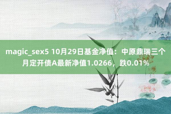 magic_sex5 10月29日基金净值：中原鼎瑞三个月定开债A最新净值1.0266，跌0.01%