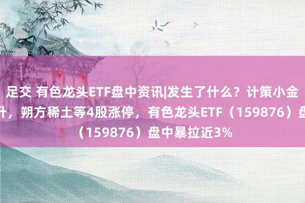 足交 有色龙头ETF盘中资讯|发生了什么？计策小金属——稀土飙升，朔方稀土等4股涨停，有色龙头ETF（159876）盘中暴拉近3%