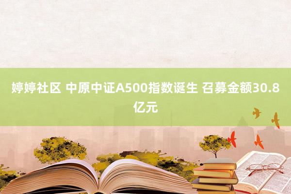 婷婷社区 中原中证A500指数诞生 召募金额30.8亿元