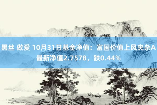 黑丝 做爱 10月31日基金净值：富国价值上风夹杂A最新净值2.7578，跌0.44%