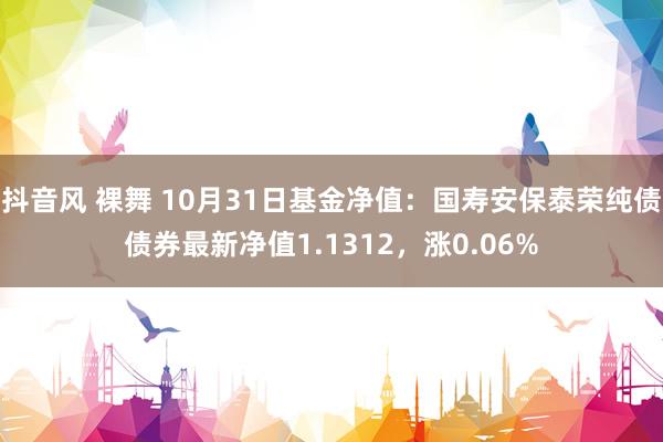 抖音风 裸舞 10月31日基金净值：国寿安保泰荣纯债债券最新净值1.1312，涨0.06%