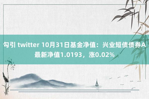 勾引 twitter 10月31日基金净值：兴业短债债券A最新净值1.0193，涨0.02%