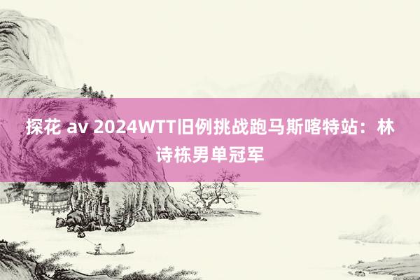 探花 av 2024WTT旧例挑战跑马斯喀特站：林诗栋男单冠军
