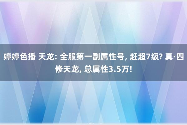 婷婷色播 天龙: 全服第一副属性号, 赶超7级? 真·四修天龙, 总属性3.5万!