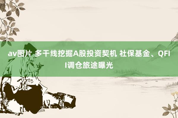 av图片 多干线挖掘A股投资契机 社保基金、QFII调仓旅途曝光
