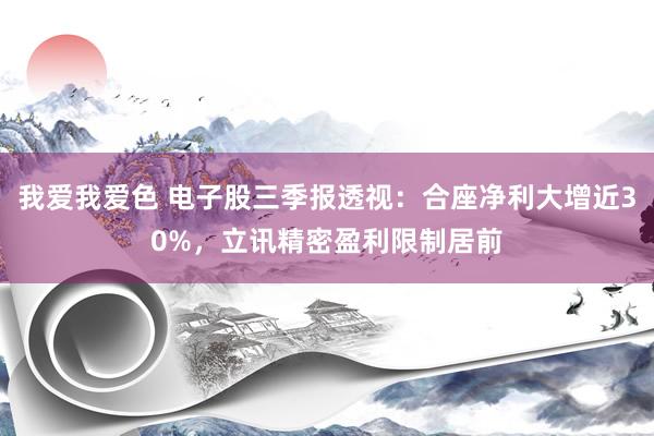 我爱我爱色 电子股三季报透视：合座净利大增近30%，立讯精密盈利限制居前