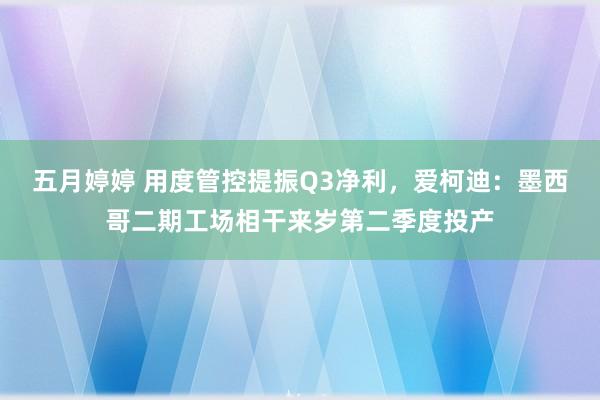 五月婷婷 用度管控提振Q3净利，爱柯迪：墨西哥二期工场相干来岁第二季度投产