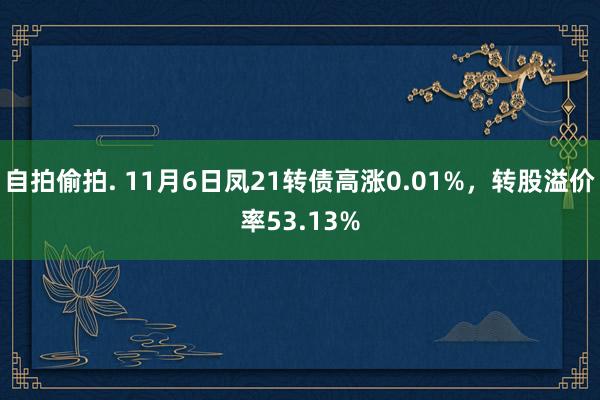 自拍偷拍. 11月6日凤21转债高涨0.01%，转股溢价率53.13%