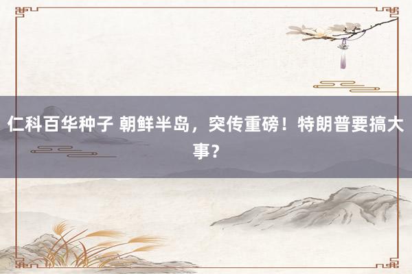 仁科百华种子 朝鲜半岛，突传重磅！特朗普要搞大事？