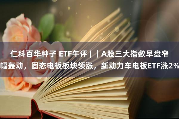 仁科百华种子 ETF午评 | ｜A股三大指数早盘窄幅轰动，固态电板板块领涨，新动力车电板ETF涨2%