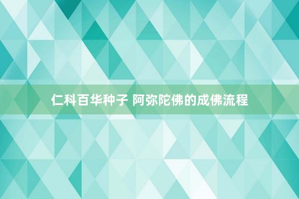 仁科百华种子 阿弥陀佛的成佛流程