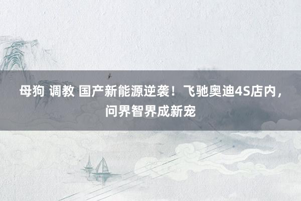 母狗 调教 国产新能源逆袭！飞驰奥迪4S店内，问界智界成新宠