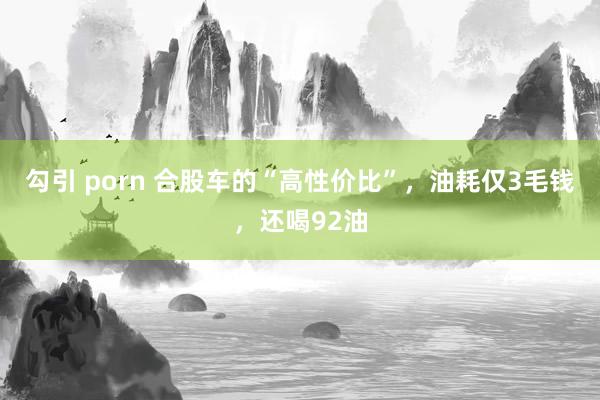 勾引 porn 合股车的“高性价比”，油耗仅3毛钱，还喝92油