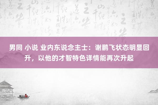男同 小说 业内东说念主士：谢鹏飞状态明显回升，以他的才智特色详情能再次升起
