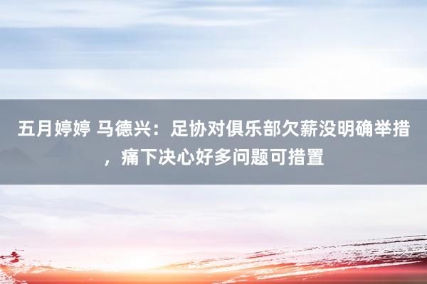 五月婷婷 马德兴：足协对俱乐部欠薪没明确举措，痛下决心好多问题可措置