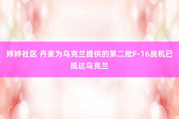 婷婷社区 丹麦为乌克兰提供的第二批F-16战机已抵达乌克兰