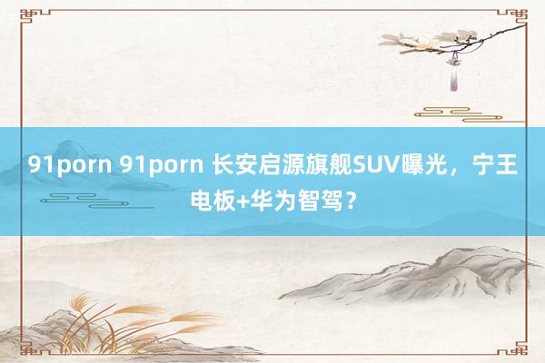 91porn 91porn 长安启源旗舰SUV曝光，宁王电板+华为智驾？