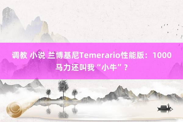 调教 小说 兰博基尼Temerario性能版：1000马力还叫我“小牛”？