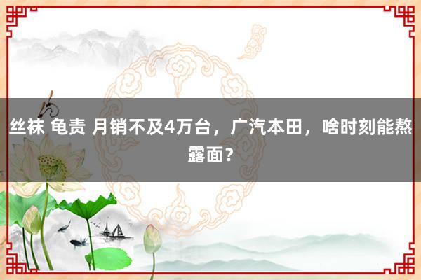 丝袜 龟责 月销不及4万台，广汽本田，啥时刻能熬露面？
