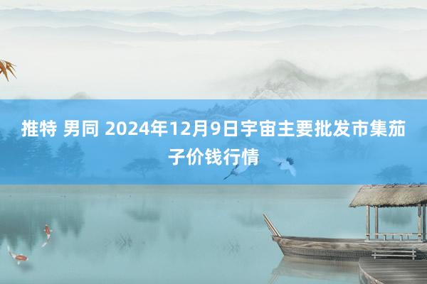 推特 男同 2024年12月9日宇宙主要批发市集茄子价钱行情