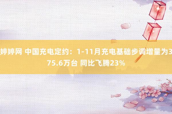 婷婷网 中国充电定约：1-11月充电基础步调增量为375.6万台 同比飞腾23%