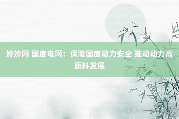 婷婷网 国度电网：保险国度动力安全 推动动力高质料发展