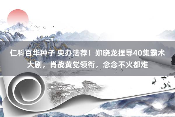仁科百华种子 央办法荐！郑晓龙捏导40集霸术大剧，肖战黄觉领衔，念念不火都难