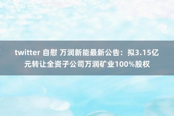 twitter 自慰 万润新能最新公告：拟3.15亿元转让全资子公司万润矿业100%股权