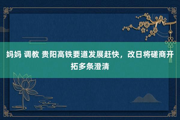 妈妈 调教 贵阳高铁要道发展赶快，改日将磋商开拓多条澄清