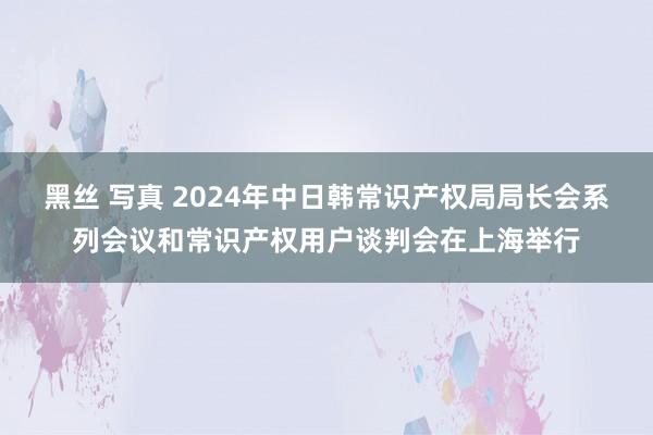 黑丝 写真 2024年中日韩常识产权局局长会系列会议和常识产权用户谈判会在上海举行