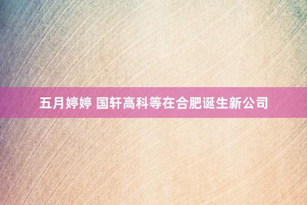 五月婷婷 国轩高科等在合肥诞生新公司