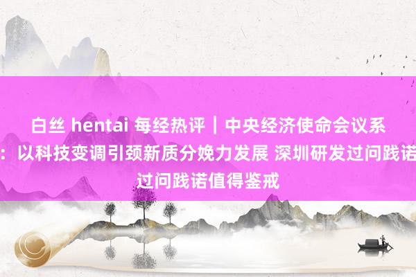 白丝 hentai 每经热评︱中央经济使命会议系列驳斥⑥：以科技变调引颈新质分娩力发展 深圳研发过问践诺值得鉴戒