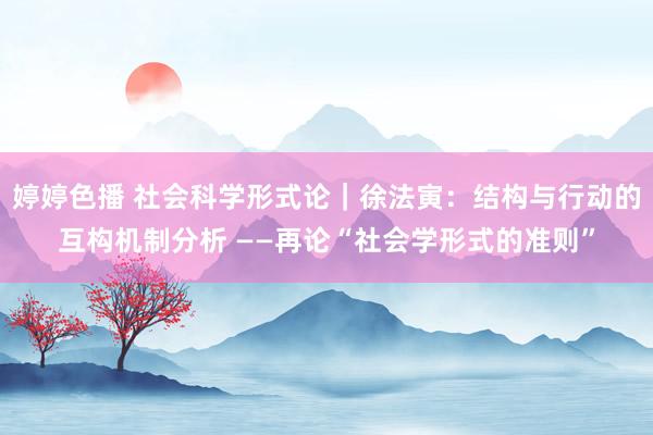 婷婷色播 社会科学形式论｜徐法寅：结构与行动的互构机制分析 ——再论“社会学形式的准则”
