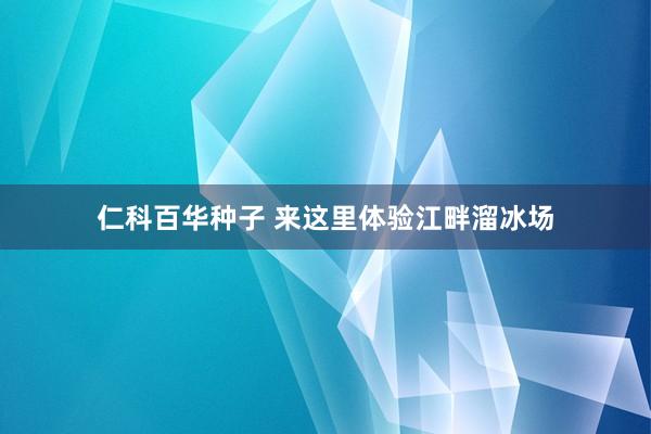 仁科百华种子 来这里体验江畔溜冰场