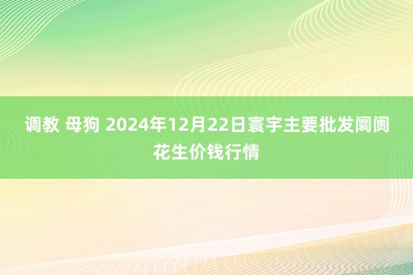 调教 母狗 2024年12月22日寰宇主要批发阛阓花生价钱行情