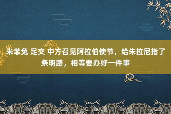 米菲兔 足交 中方召见阿拉伯使节，给朱拉尼指了条明路，相等要办好一件事