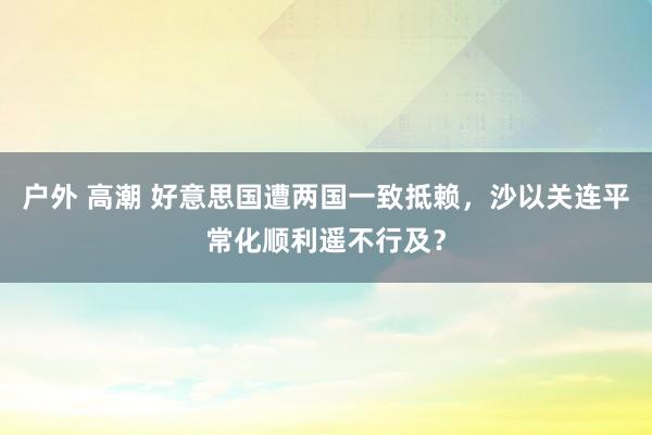 户外 高潮 好意思国遭两国一致抵赖，沙以关连平常化顺利遥不行及？