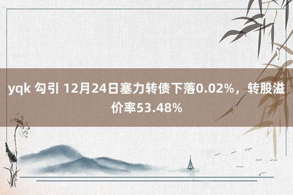 yqk 勾引 12月24日塞力转债下落0.02%，转股溢价率53.48%